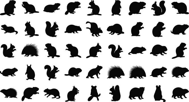 Black Vector Silhouettes of Small Mammals and Rodents Including Squirrels Beavers Groundhogs Porcupines and Chipmunks Isolated on a White Background for Nature Wildlife Design
