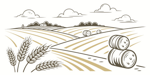 a field with hay bales and wheat Vector © Akshay
