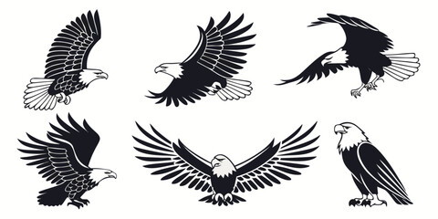 Obraz premium six different eagle poses in flight and standing Vector
