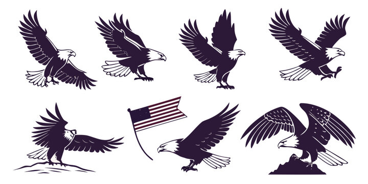 a group of american bald eagles in various poses Vector