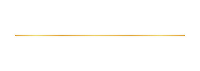 Simple thin gold horizontal line divider