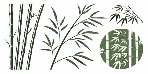 bamboo plant with leaves and stalks Vector © nalu