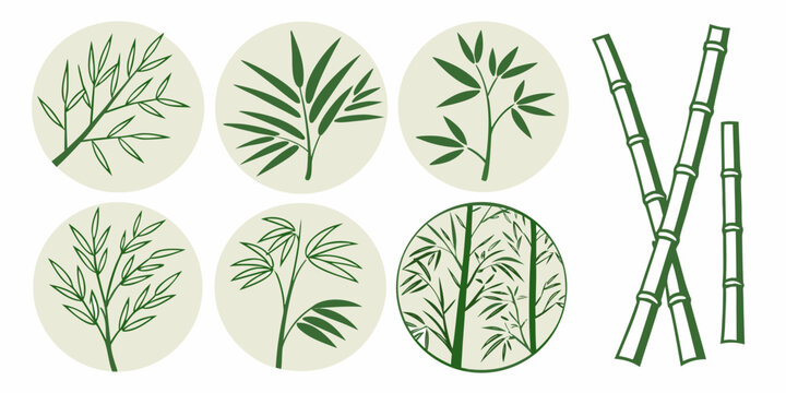 a collection of green bamboo plants and leaves Vector