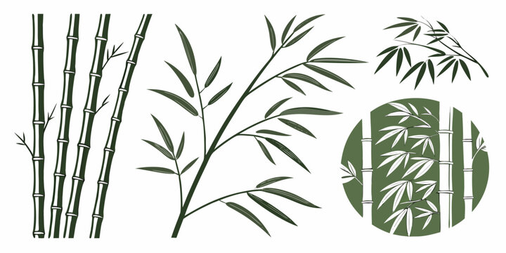 bamboo plant with leaves and stalks Vector