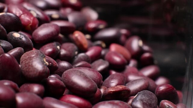 Close-up view of assorted kidney beans in various shades of red and brown, showcasing their smooth textures and distinct shapes in a transparent container