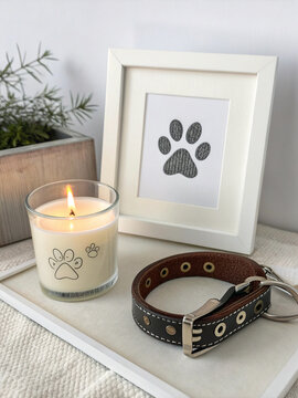 Pet memorial candle and dog collar with paw print frame