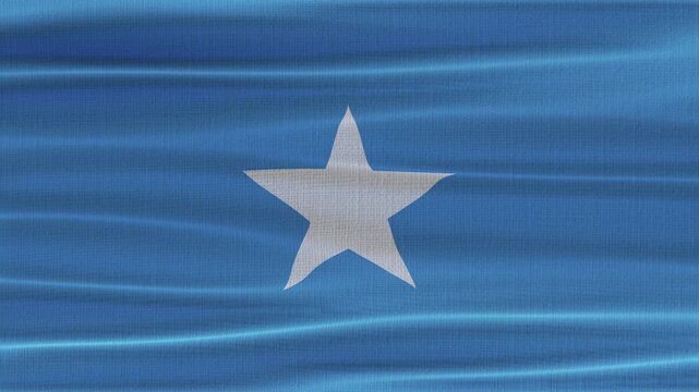 Micronesia flag waving in the wind with high quality fabric texture