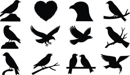 Comprehensive set of aircraft vector silhouettes featuring helicopters commercial airliners and military cargo planes for aviation and transport design. © Romana