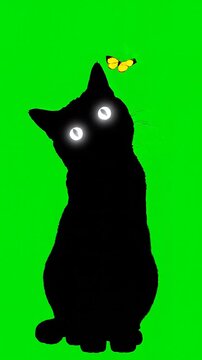 Mysterious black cat silhouette with glowing white eyes and a yellow butterfly on a green screen background for chroma key compositing and video editing projects.