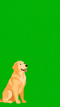 A cute cartoon golden retriever dog sits and barks with visible breath vapor appearing in front of its mouth against a solid green screen background for easy keying.