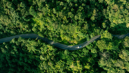 Aerial view of a winding road cutting through dense tropical forest representing sustainable transport, green economy and ESG investment concept. Perfect for environment, mobility, finance or business © Hand Robot