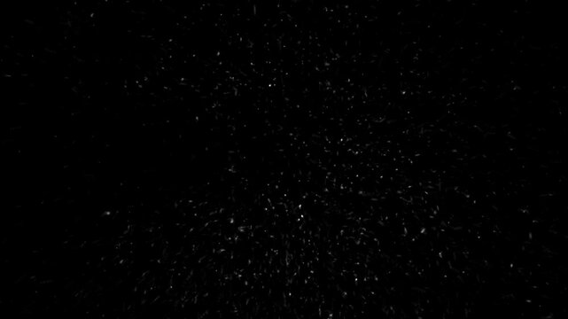 Black screen pulses with soft white specks. Tiny dots drift upward, mimicking falling snow