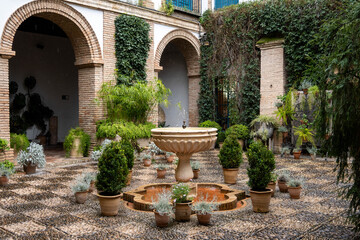 Naklejka premium Patios de Córdoba, Andalucía