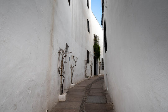 Calleja del Pa&ntilde;uelo, C&oacute;rdoba, Andaluc&iacute;a