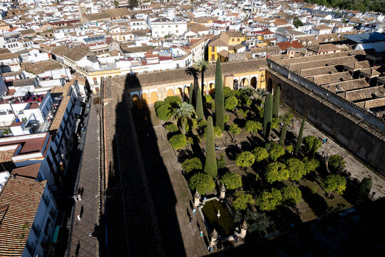 Patio de los naranjos de la mezquita de C&oacute;rdoba