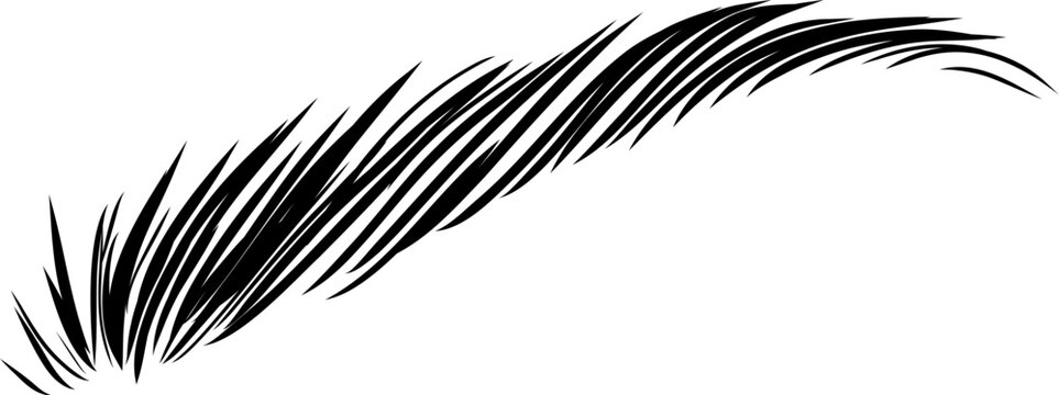 Arched Eyebrow Brows