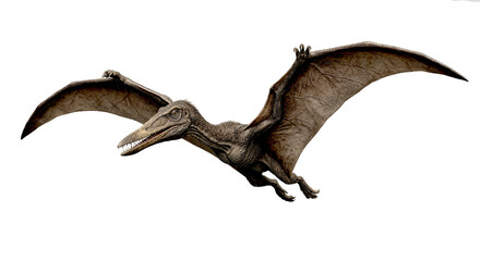 Fototapeta premium A detailed 3d rendering of a prehistoric pteranodon soaring through the air with wings extended