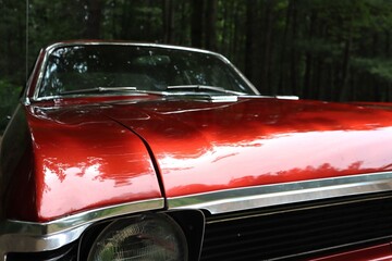 Fototapete bei efototapeten.de bestellen   