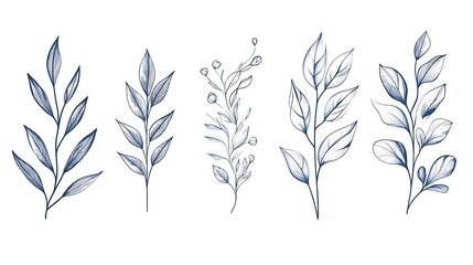 Fototapeta premium Leaf silhouettes, vector collection, diverse leaves shapes, nature elements. Ideal for eco friendly brand aesthetics, botanical illustrations, educational materials, artistic designs, decorations.