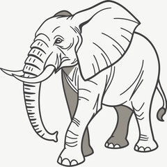 Fototapeta premium Gray elephant standing with trunk down standing elephant black and white animal