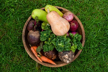 Naklejka premium Fresh organic vegetables in bowl