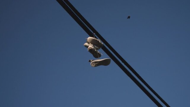 Sneakers hanging on a telephone line in Brooklyn