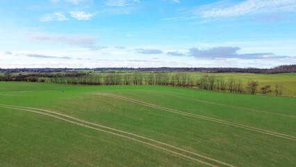 Fototapeta premium Green agricultural fields in rural Schleswig Holstein