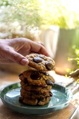 Freshly baked chocolate chip cookies