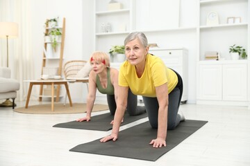 Obraz premium Senior women exercising on mats at home. Fitness and sport