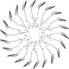 Fototapeta premium Intricate Mandala Floral Ornament – Decorative Line Art Pattern Design