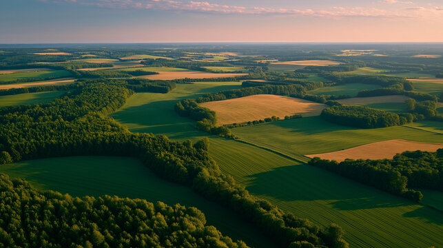 Wide establishing view of agricultural landscape showing regenerative farm fields in patchwork pattern, cover crops and hedgerows creating natural boundaries, aerial perspective, ideal for