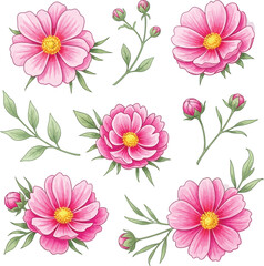 Obraz premium Vibrant pink floral arrangement isolated on transparent background