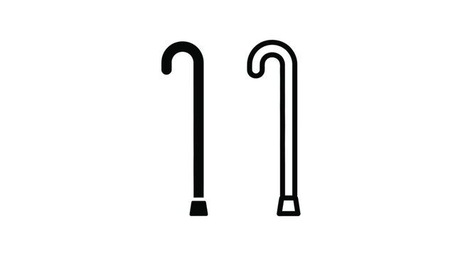 Two black walking canes are displayed on a plain white background