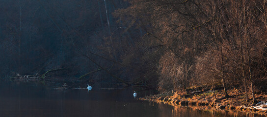 Czas Na Wiosnę  © Wojciech Lisiński