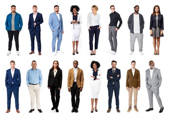 Obraz premium Diverse professional business attire