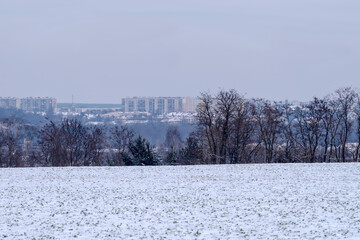 Zimowy widok na miasto (Ostrowiec Świętokrzyski) w mglisty dzień, z warstwą śniegu pokrywającą pierwszy plan. Bezlistne drzewa ciągną się wzdłuż horyzontu częściowo zasłaniając odległy widok na miasto © Grzegorz