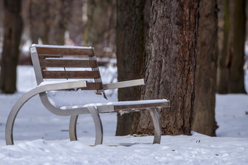  Nowoczesna ławka w ośnieżonym parku, z drewnianymi listwami i zakrzywionymi stalowymi podporami. Otaczający krajobraz obejmuje pnie drzew i warstwę nienaruszonego śniegu, tworząc spokojną scenerię © Grzegorz
