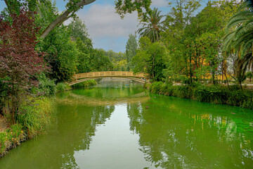 Obraz premium Aveiro Portugal