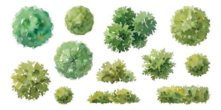 Watercolor set of top view bush shrub, hedge flower, garden architecture landscape plan elements, isolated on transparent background