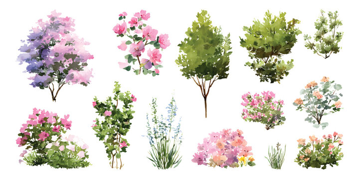 Watercolor set of spring garden plants, blossoming shrubs, blooming bushes and tall tree architecture landscape plan elements isolated on transparent background