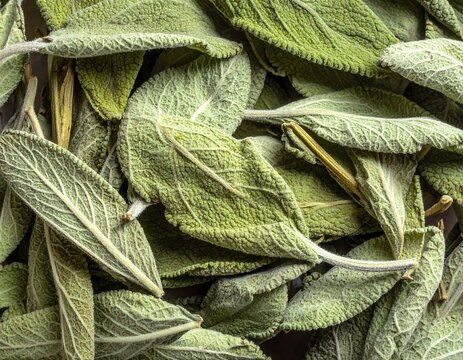 Close-up of dried sage leaves