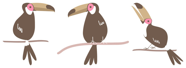 Obraz premium Stylized toucans perched gracefully element set