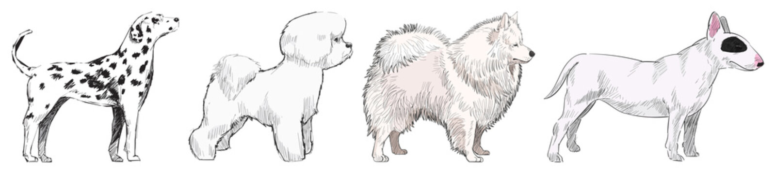 Illustrated diverse dog breeds lineup element set