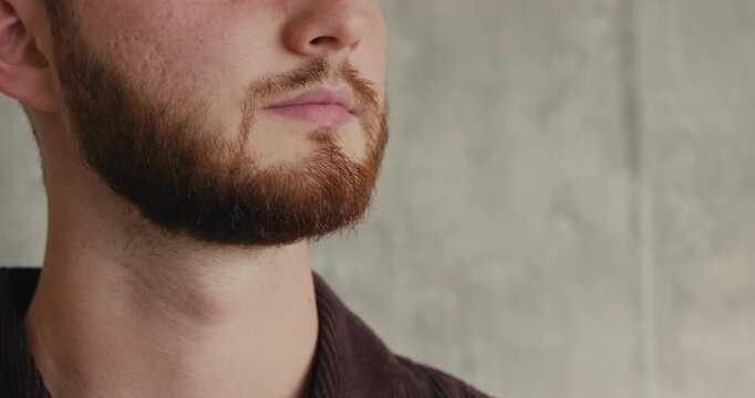 Close-up shot of the lower part of a young man face with a reddish beard indoors. Masculinity and strong male features.
