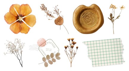 Vintage botanical elements collage