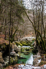 Hiking Trails in Triglav National Park near Lake Bohinj, Slovenia