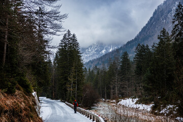 Hiking Trails in Triglav National Park near Lake Bohinj, Slovenia