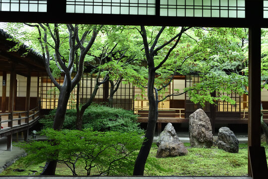 建仁寺中庭　初夏の潮音庭(京都市東山区)