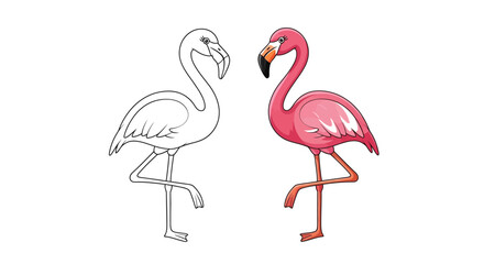 Obraz premium Two flamingo birds show outline and color drawing styles.