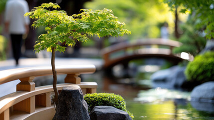Lush green Japanese maple bonsai by a wooden bridge railing overlooking a calm garden pond, blurred walker in the background creating a peaceful, harmonious landscape scene